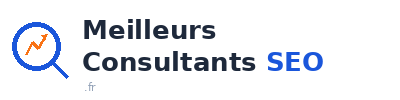 Meilleurs Consultants SEO